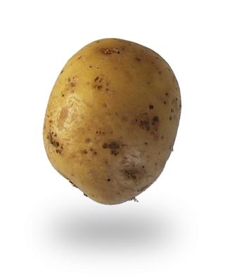 Bild von Kartoffelgerichte